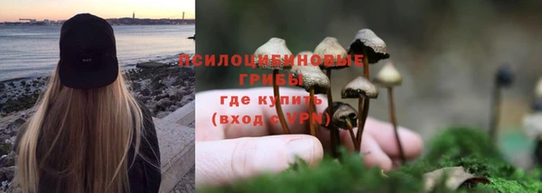 каннабис Алзамай