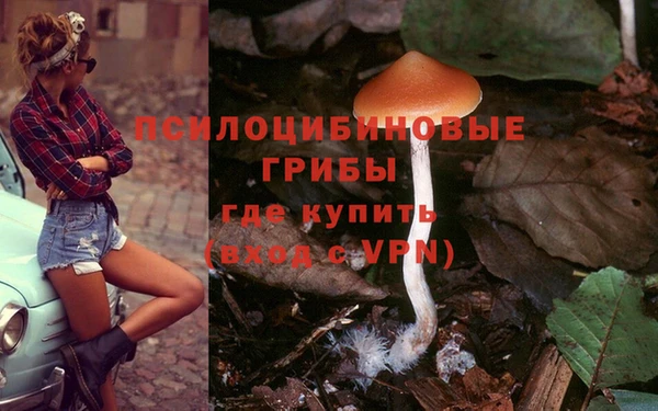 не бодяженный Алексин