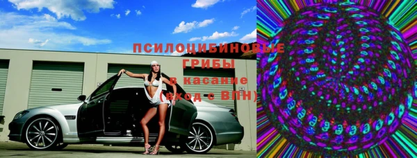не бодяженный Алексин