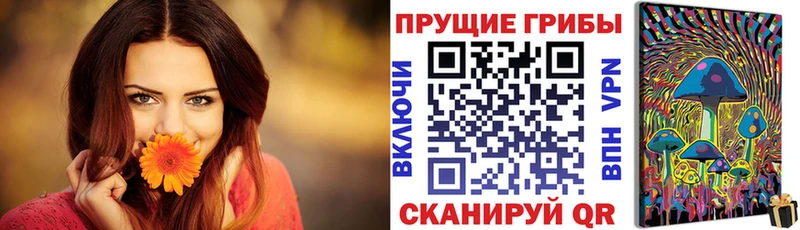 мега   Полевской  Псилоцибиновые грибы MAGIC MUSHROOMS 